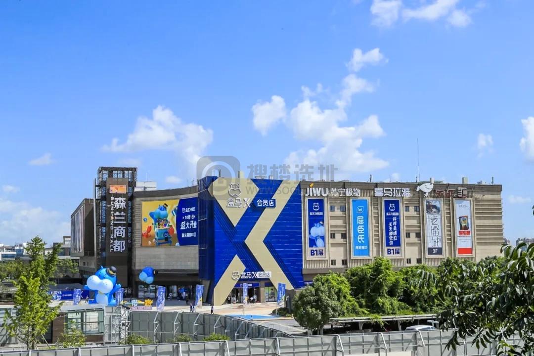 而立浦东再出发丨从盒马到叮咚买菜，“浦生浦长”的新经济企业正在开花结果