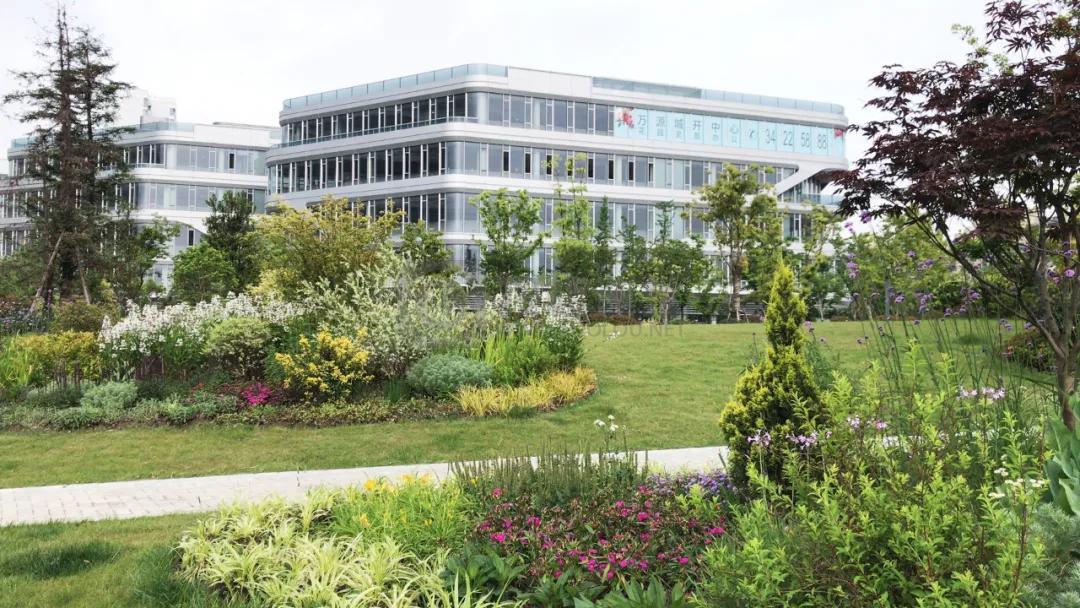 闵行这座公园里，诞生了6栋全新地标，将用来……