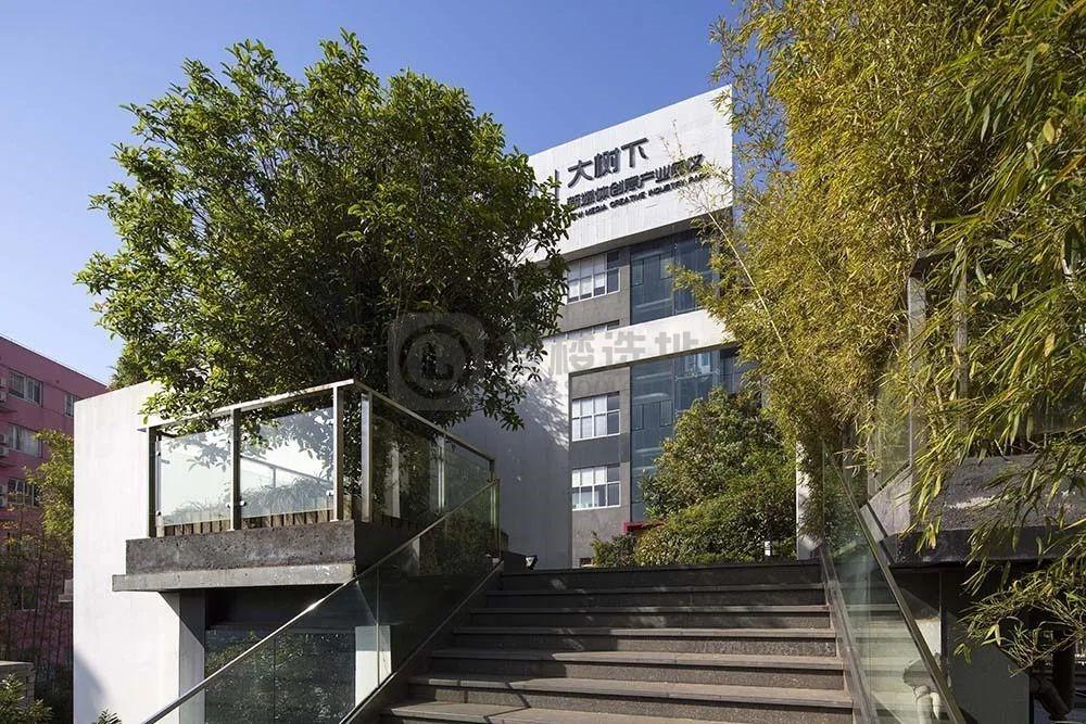 TREE NEW | 2020 逆势而行 载誉荣归