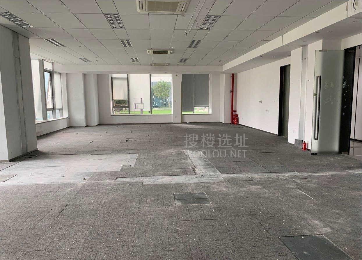 莱茵·矩阵国际