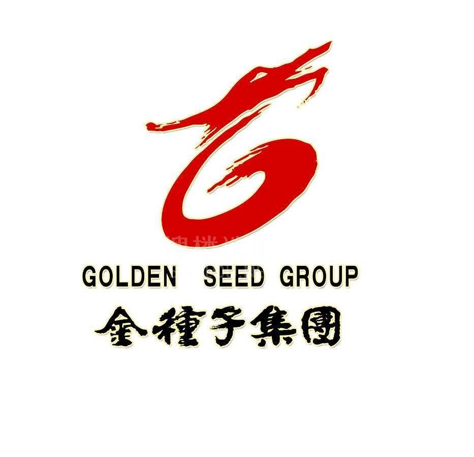 金种子集团