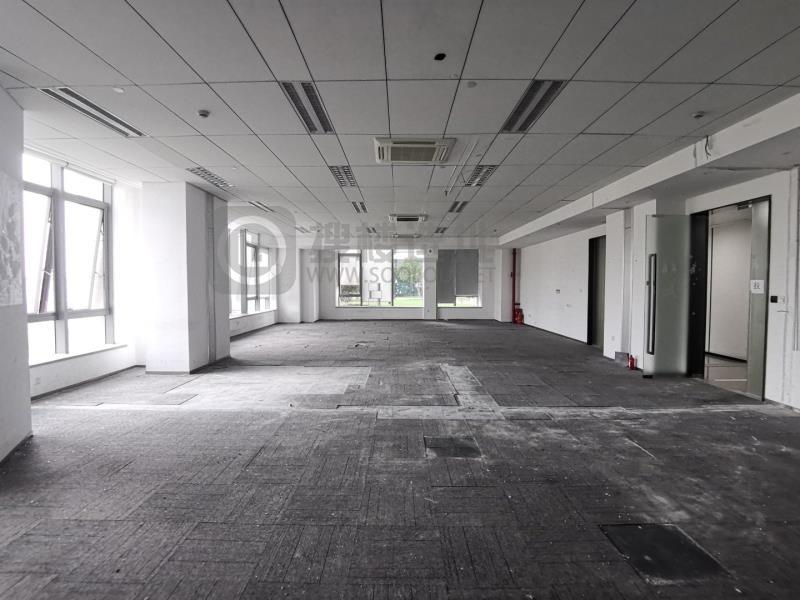 莱茵·矩阵国际