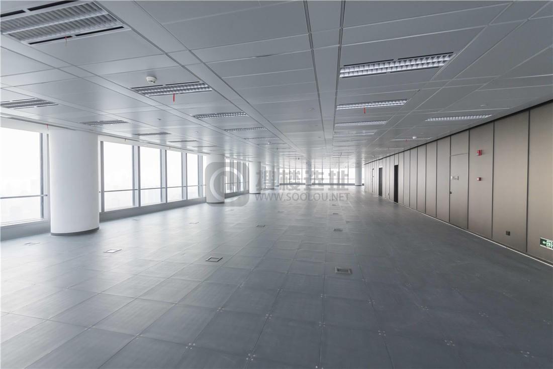 上海白玉兰广场(金光中心)