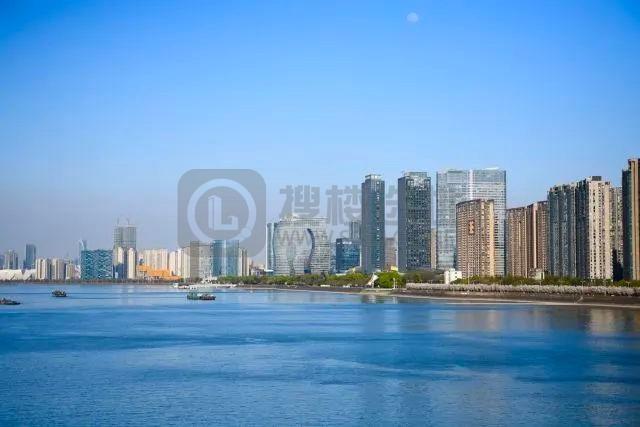 迈向世界领先 | 高新区（滨江）瞄准“科技创新