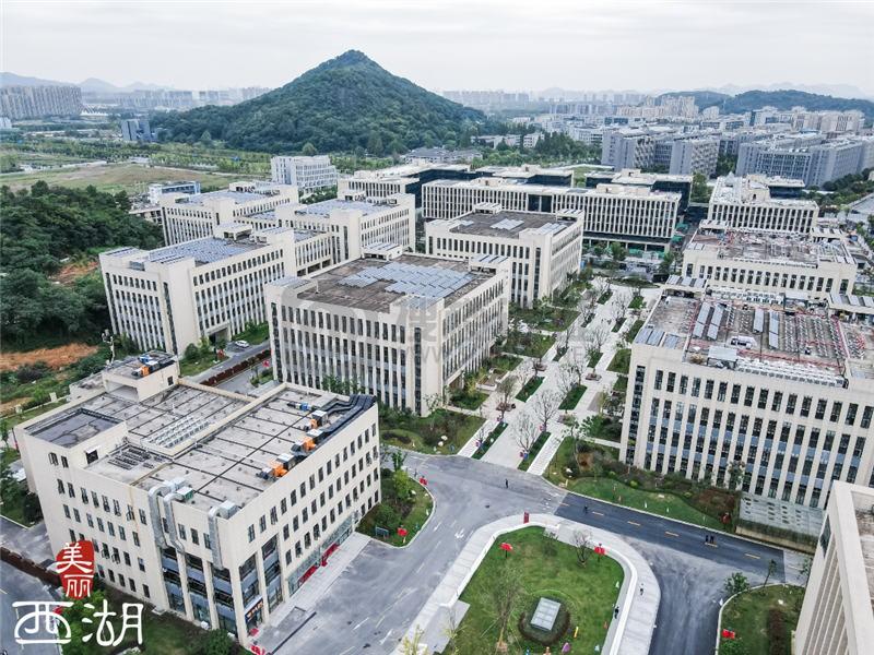 共富西湖行 | 硬核实力再跃升 激发高效能科创活力