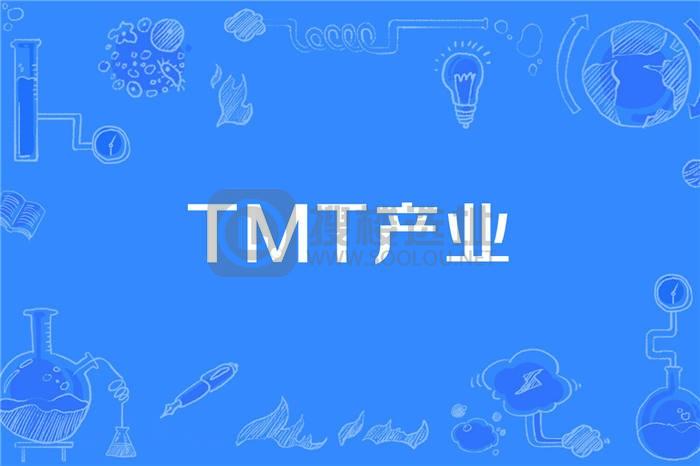 TMT租户指的是什么？