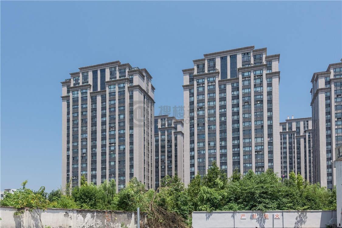 创美华彩国际：西湖区三墩写字楼