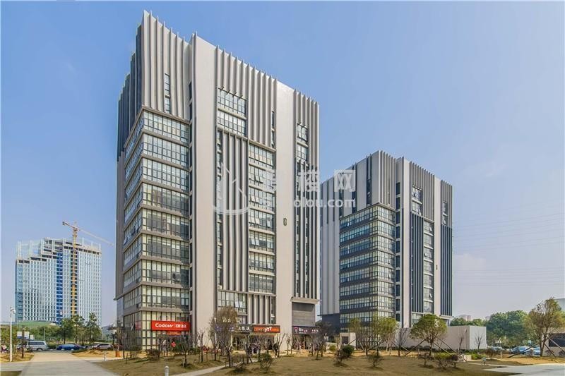 光谷总部时代，打造武汉精英企业家园