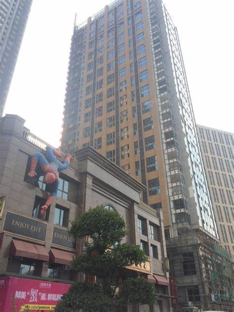 雄楚天地——高品质商业地产，卓越区位，理想之选