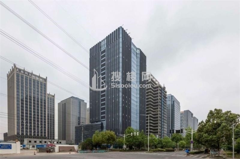 新丽华大厦：南京市建邺区高端商业地产的璀璨明珠