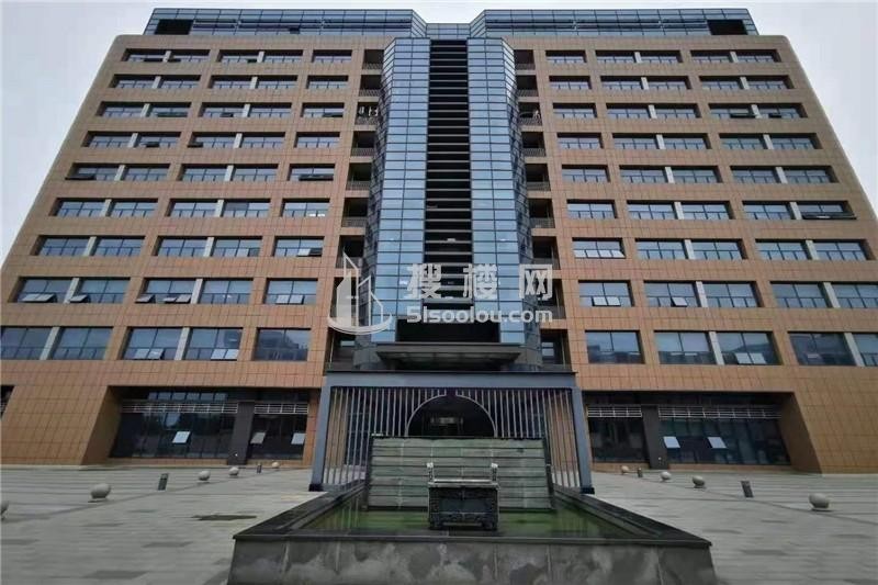 大树科技，创新商务枢纽，打造高效商业新天地