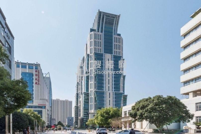 欣网视讯，繁华地段的科技与创新融合