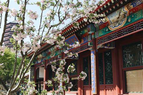 海棠园——南京河西CBD的商务与居住标杆